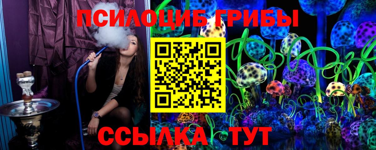Псилоцибиновые грибы Psilocybine cubensis  Вход с VPN  Псилоцибиновые грибы Psilocybine cubensis  Камышин 